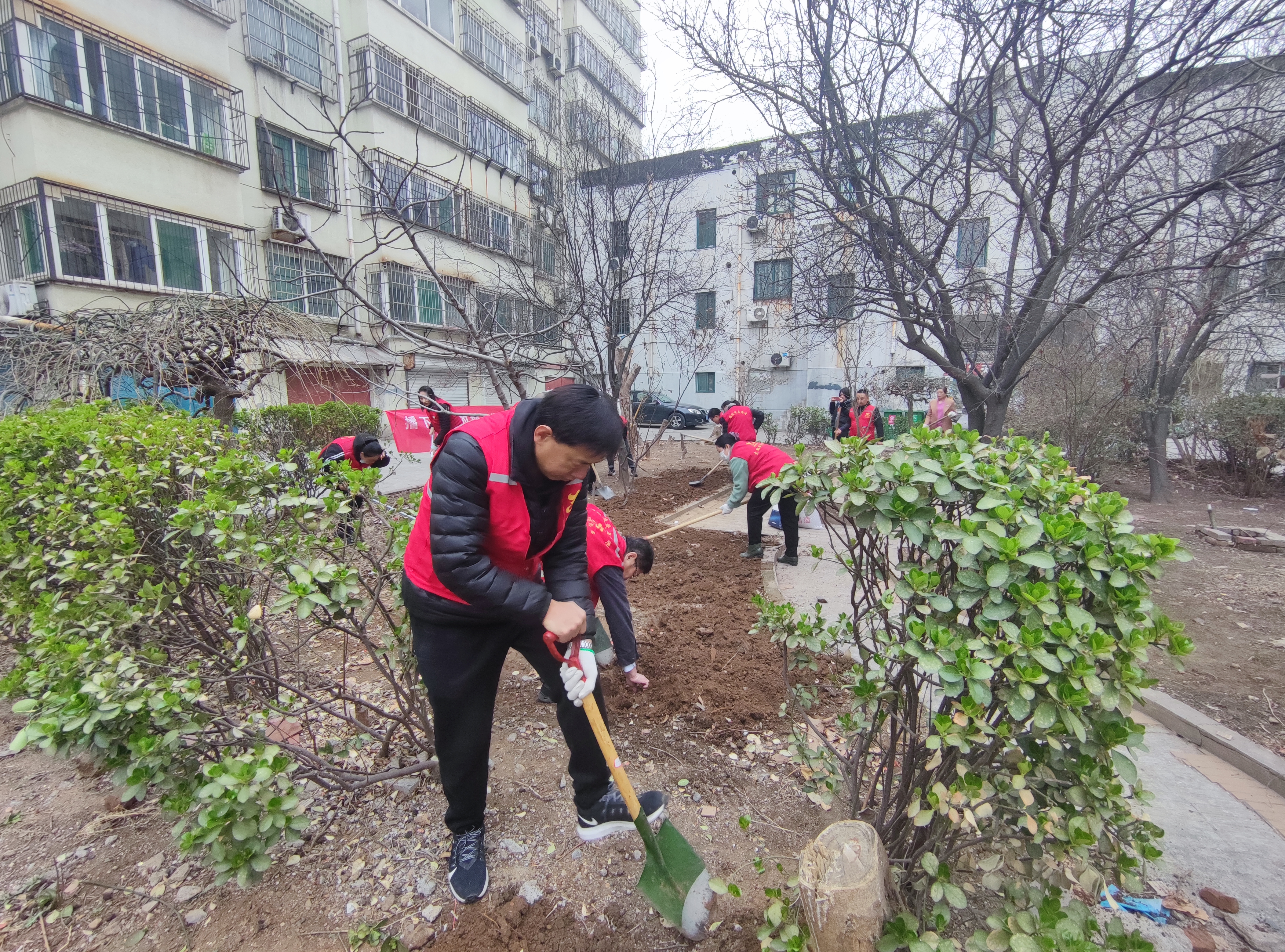 市能源集團(tuán)組織開(kāi)展“植綠護(hù)綠”新時(shí)代文明實(shí)踐志愿服務(wù)活動(dòng)(圖2)
